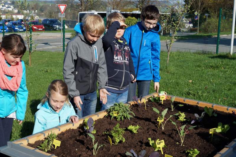 City-Immobilien-Soziale-Projekte-Schulgarten-Grundschule-Lengenfeld