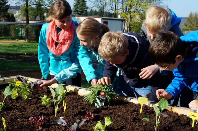 City-Immobilien-Soziale-Projekte-Schulgarten-Grundschule-Lengenfeld